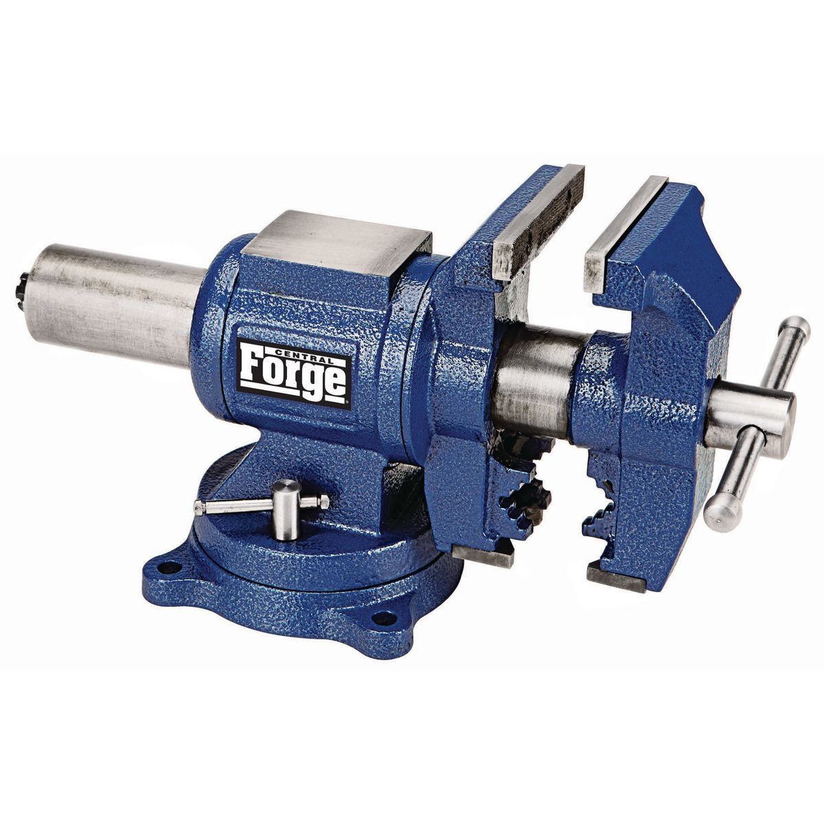 CENTRAL FORGE 5 in. Multi-Purpose Vise with Anvil